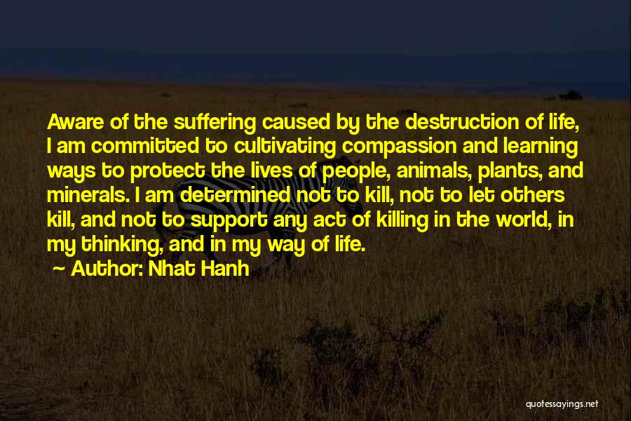 Suffering And Learning Quotes By Nhat Hanh