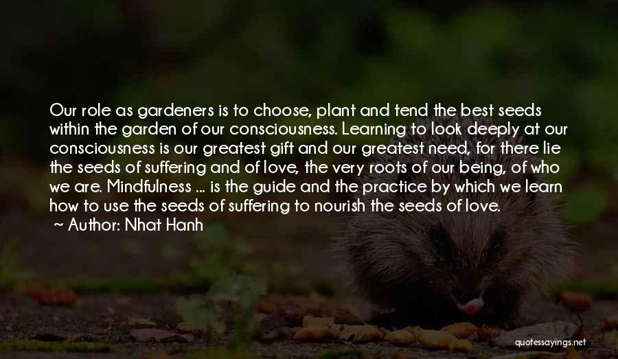 Suffering And Learning Quotes By Nhat Hanh