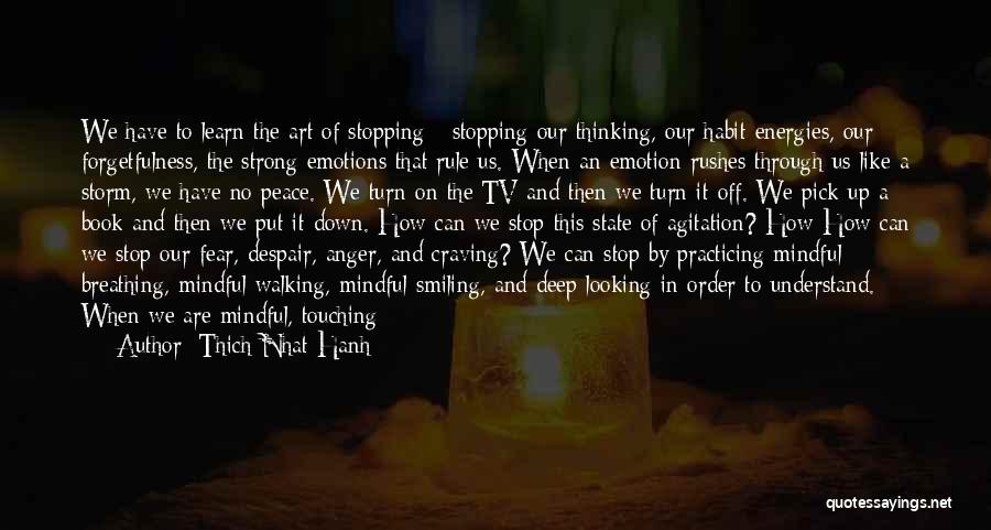 Suffering And Smiling Quotes By Thich Nhat Hanh