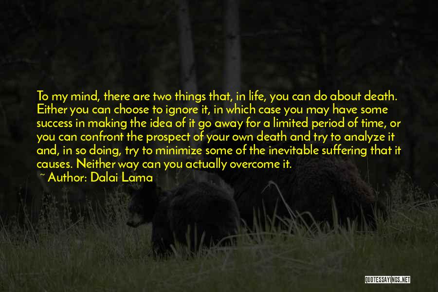 Suffering And Success Quotes By Dalai Lama