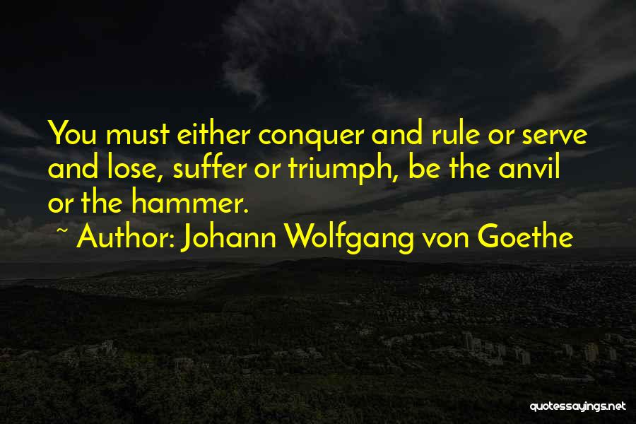 Suffering And Success Quotes By Johann Wolfgang Von Goethe