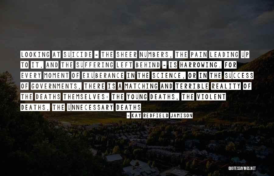 Suffering And Success Quotes By Kay Redfield Jamison Suffering And Success Quotes By Kay Redfield Jamison