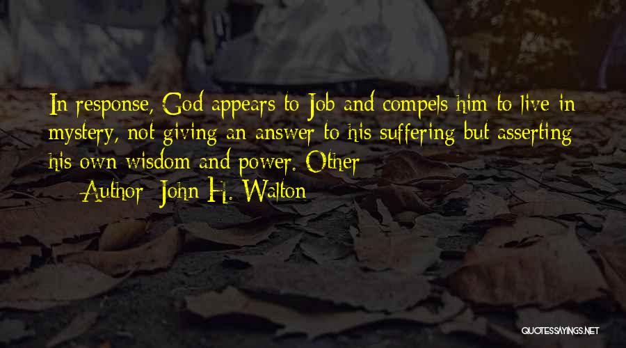 Suffering And Wisdom Quotes By John H. Walton
