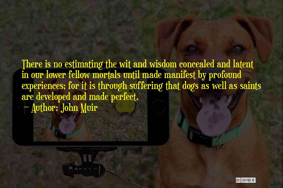 Suffering And Wisdom Quotes By John Muir