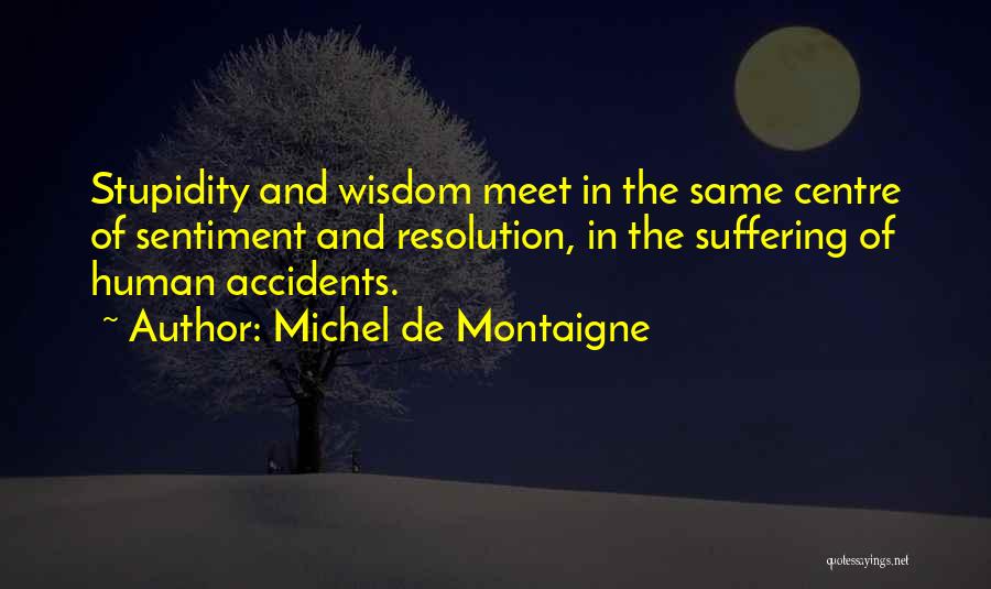 Suffering And Wisdom Quotes By Michel De Montaigne