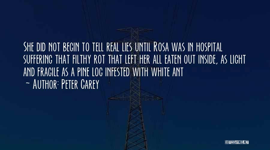 Suffering From Cancer Quotes By Peter Carey