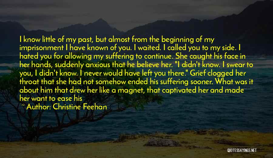 Suffering From The Past Quotes By Christine Feehan