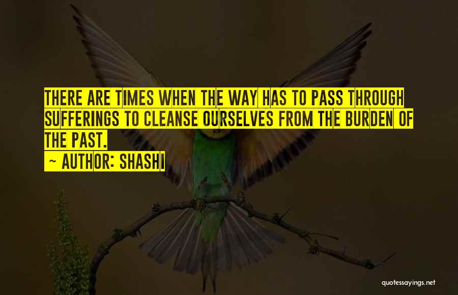 Suffering From The Past Quotes By Shashi