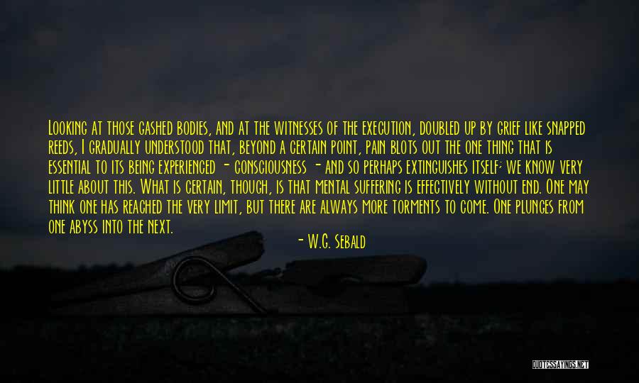 Suffering Is Essential Quotes By W.G. Sebald Suffering Is Essential Quotes By W.G. Sebald