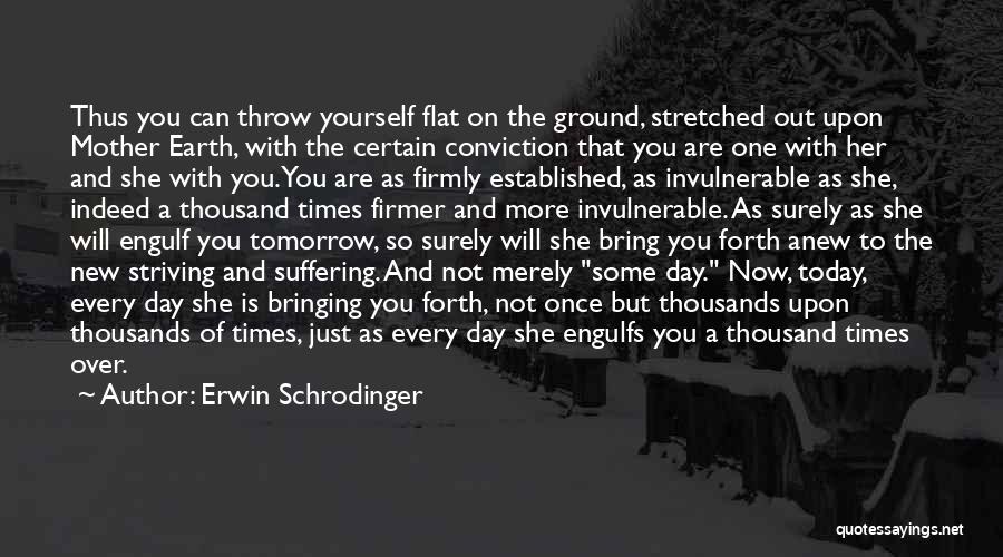 Suffering Now Quotes By Erwin Schrodinger