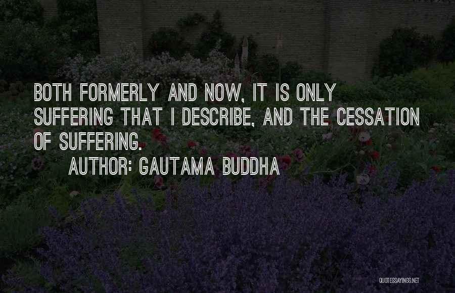 Suffering Now Quotes By Gautama Buddha