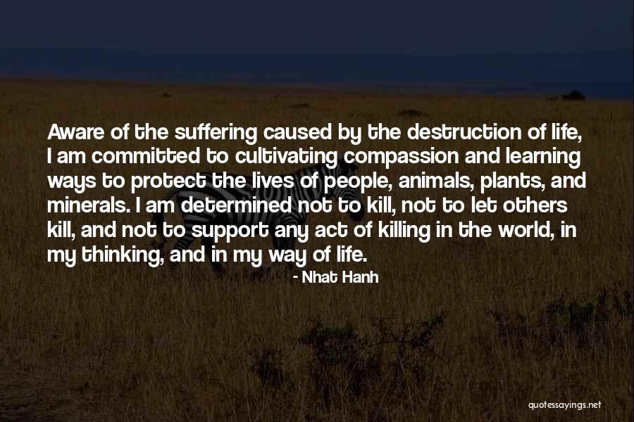 Suffering Of Others Quotes By Nhat Hanh Suffering Of Others Quotes By Nhat Hanh