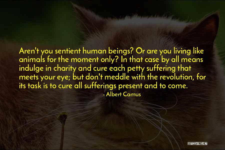 Suffering Quotes By Albert Camus