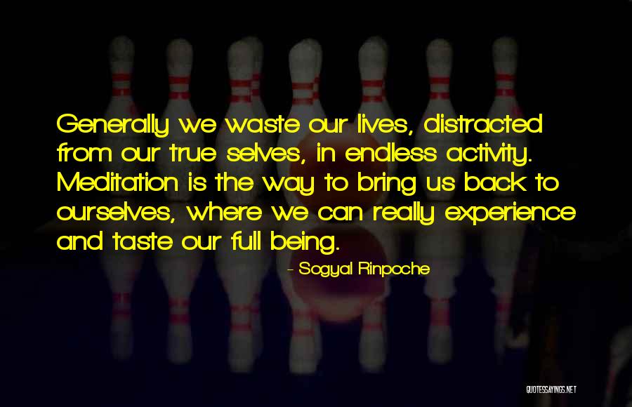 Suffield Ct Quotes By Sogyal Rinpoche Suffield Ct Quotes By Sogyal Rinpoche
