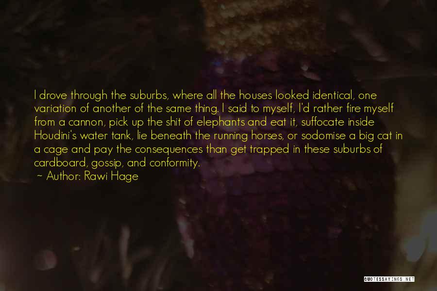 Suffocate Quotes By Rawi Hage