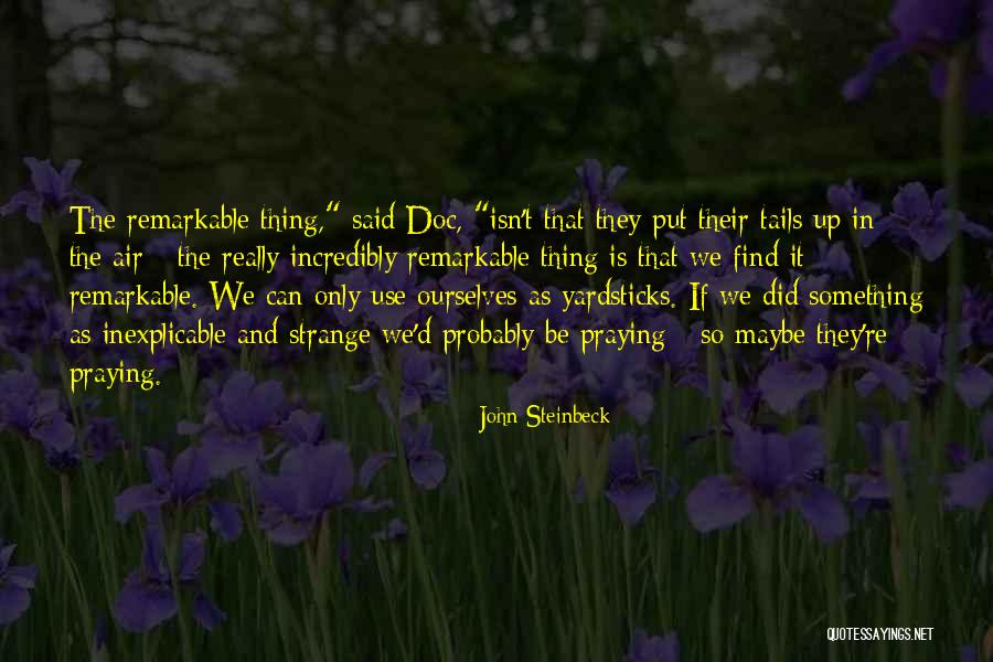 Suffused Oxford Quotes By John Steinbeck Suffused Oxford Quotes By John Steinbeck