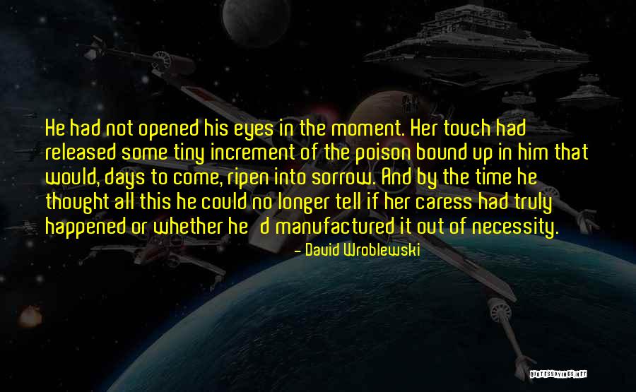 Sufi Dancer Quotes By David Wroblewski Sufi Dancer Quotes By David Wroblewski
