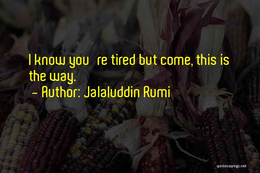 Sufi Poetry Love Quotes By Jalaluddin Rumi