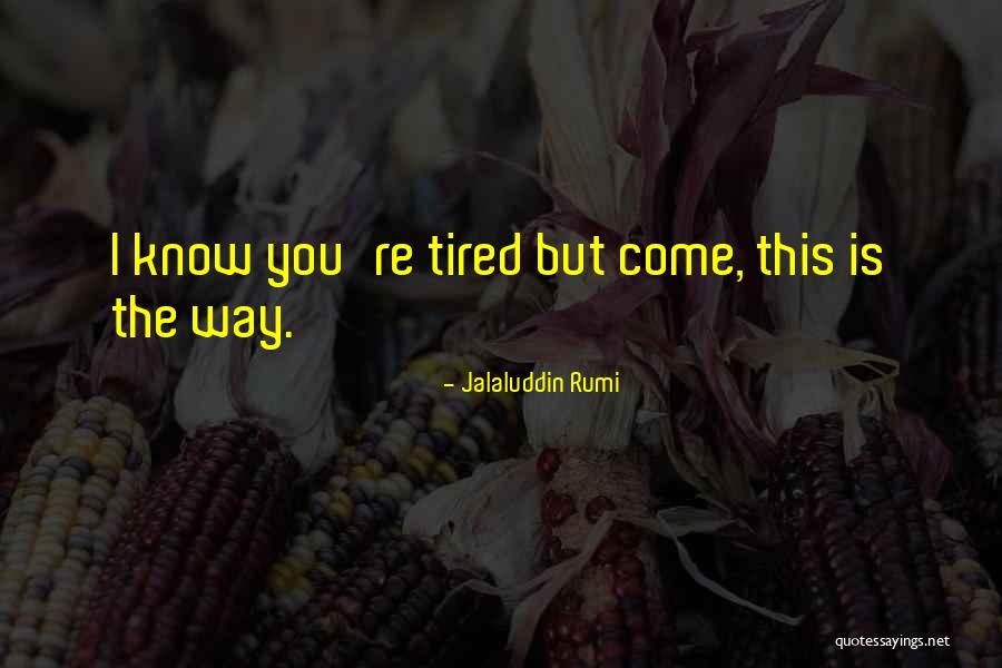 Sufi Poetry Quotes By Jalaluddin Rumi
