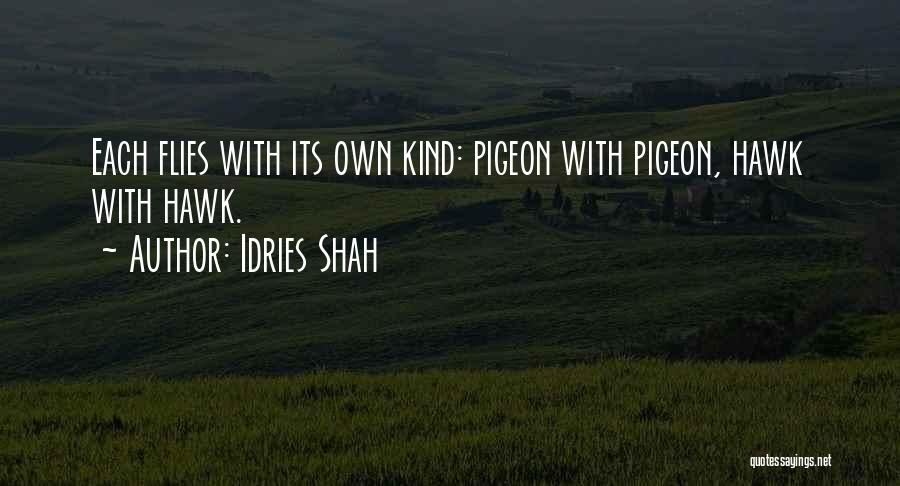 Sufi Quotes By Idries Shah