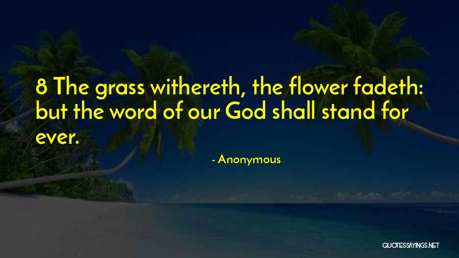 Sufi Ramadan Quotes By Anonymous Sufi Ramadan Quotes By Anonymous