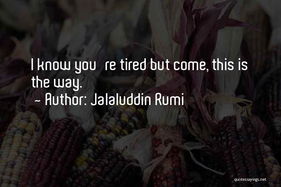 Sufi Way Quotes By Jalaluddin Rumi