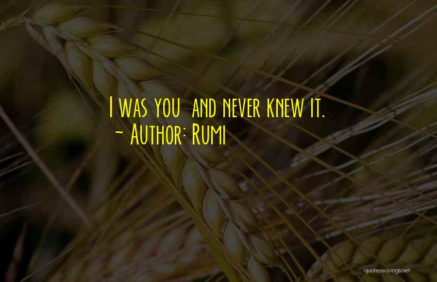 Sufi Way Quotes By Rumi