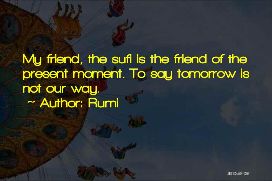 Sufi Way Quotes By Rumi