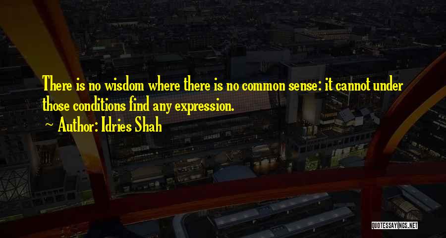 Sufism Quotes By Idries Shah