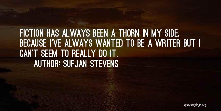 Sufjan Stevens Quotes 1031714