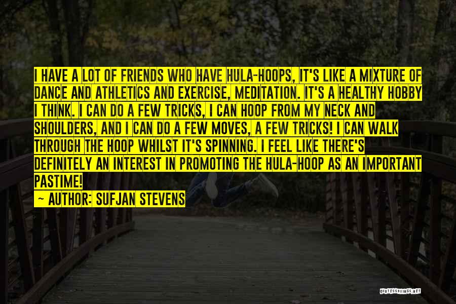 Sufjan Stevens Quotes 1326493