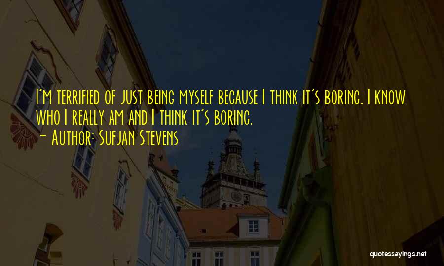 Sufjan Stevens Quotes 1620571