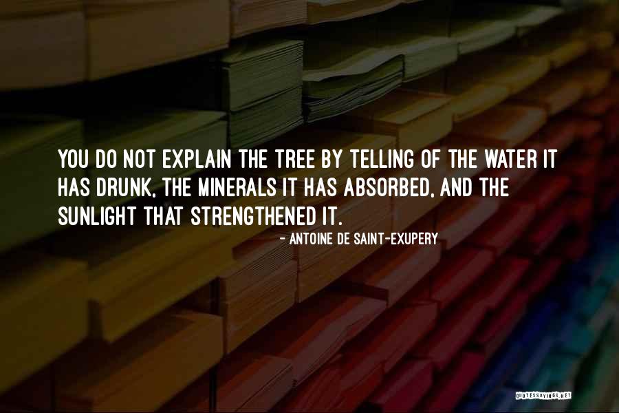 Sufleu Quotes By Antoine De Saint-Exupery Sufleu Quotes By Antoine De Saint-Exupery