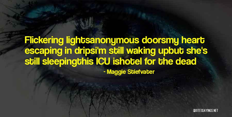 Sufragio Quotes By Maggie Stiefvater Sufragio Quotes By Maggie Stiefvater