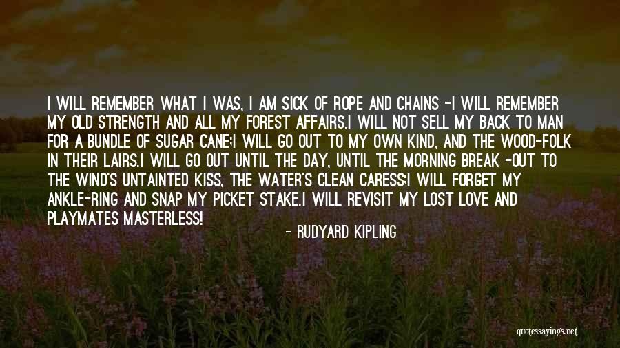 Sugar And Love Quotes By Rudyard Kipling Sugar And Love Quotes By Rudyard Kipling
