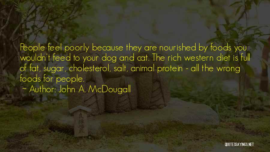 Sugar And Salt Quotes By John A. McDougall