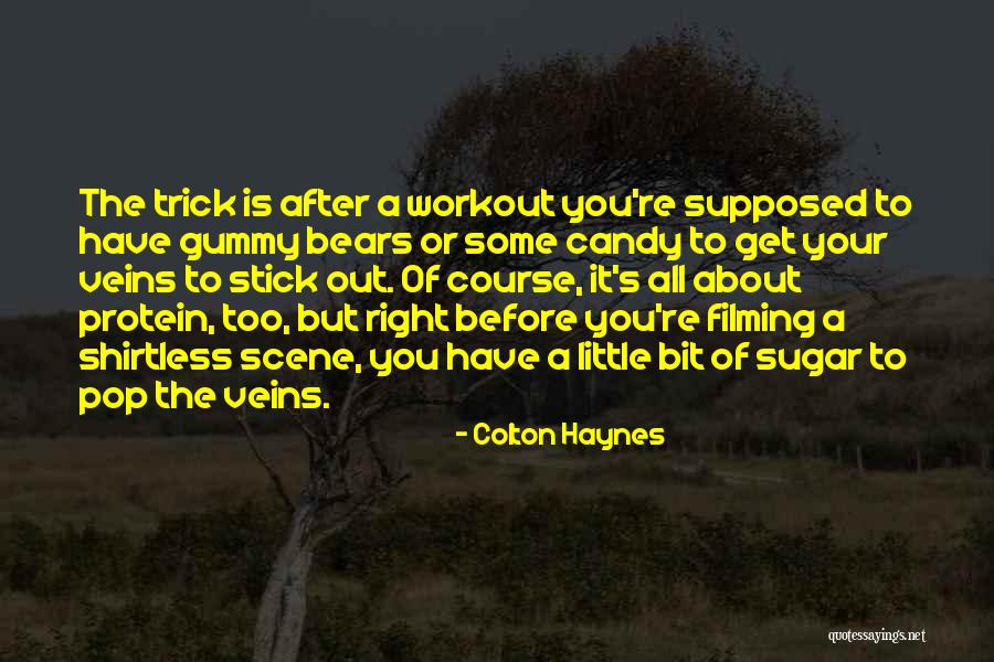 Sugar Bears Quotes By Colton Haynes Sugar Bears Quotes By Colton Haynes