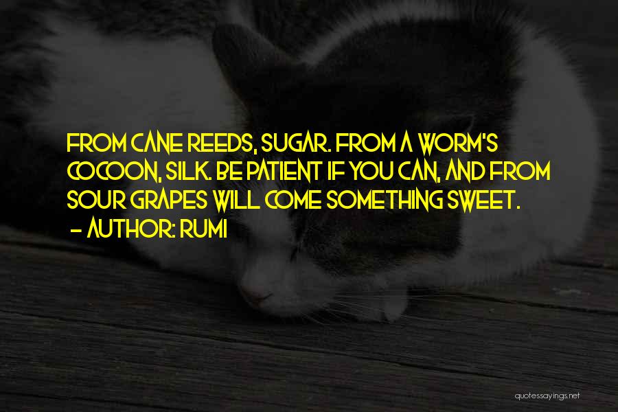 Sugar Cane Quotes By Rumi