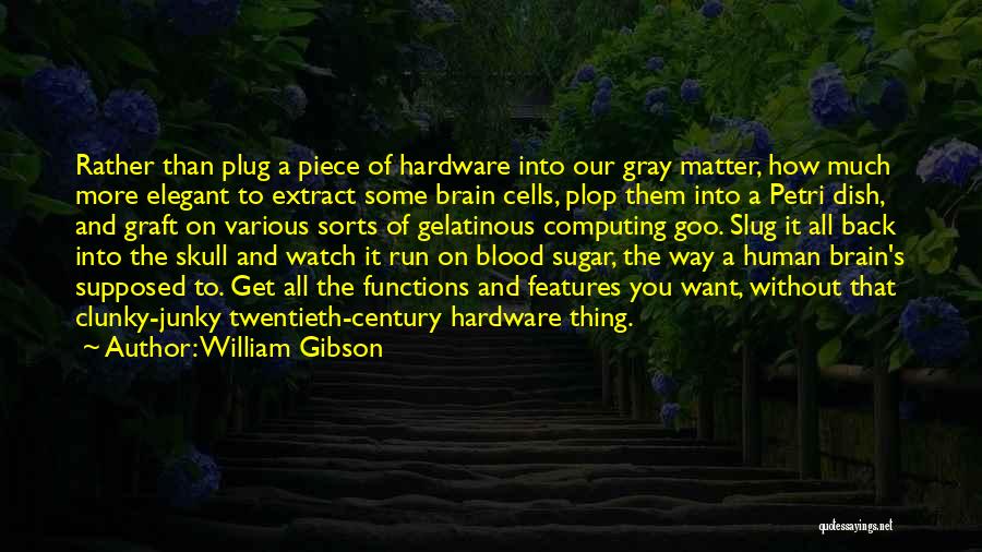 Sugar Skull Quotes By William Gibson