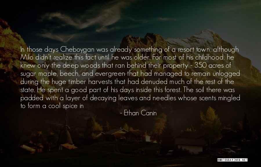 Sugar & Spice Quotes By Ethan Canin Sugar & Spice Quotes By Ethan Canin