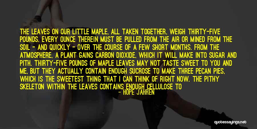 Sugar Sweet Quotes By Hope Jahren Sugar Sweet Quotes By Hope Jahren