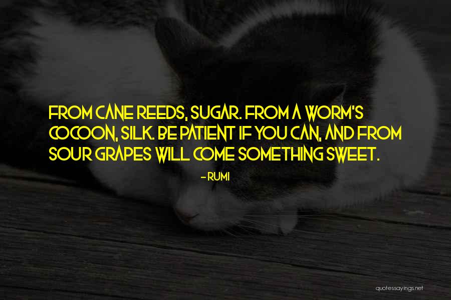 Sugar Sweet Quotes By Rumi Sugar Sweet Quotes By Rumi
