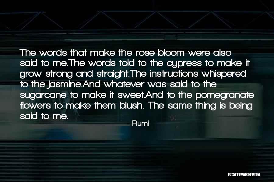 Sugarcane Quotes By Rumi