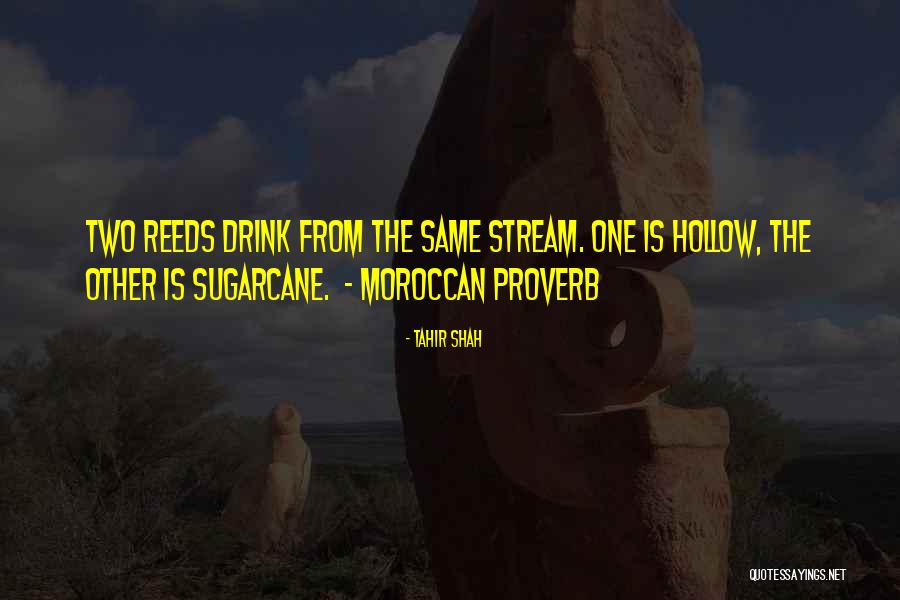 Sugarcane Quotes By Tahir Shah