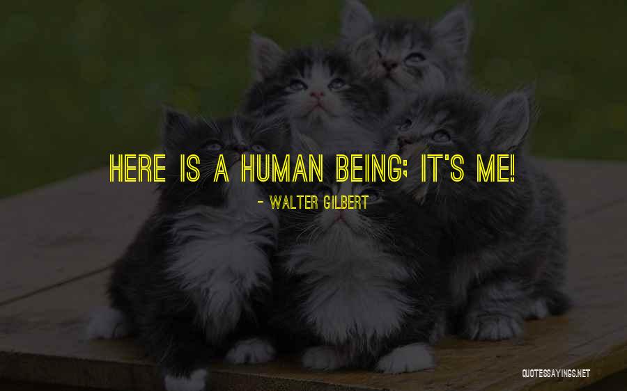 Sugarees Coconut Quotes By Walter Gilbert
