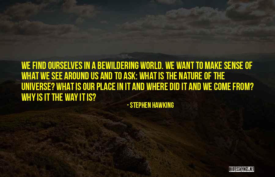 Sugarplum Studio Quotes By Stephen Hawking Sugarplum Studio Quotes By Stephen Hawking