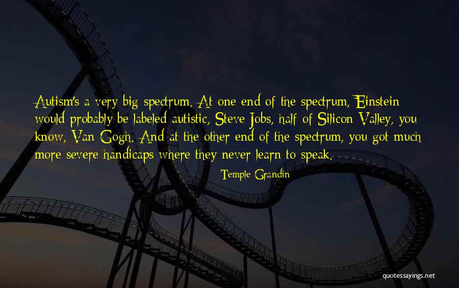 Sugestia Synonim Quotes By Temple Grandin Sugestia Synonim Quotes By Temple Grandin
