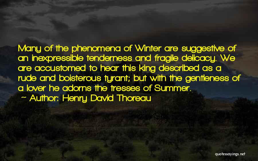 Suggestive Quotes By Henry David Thoreau
