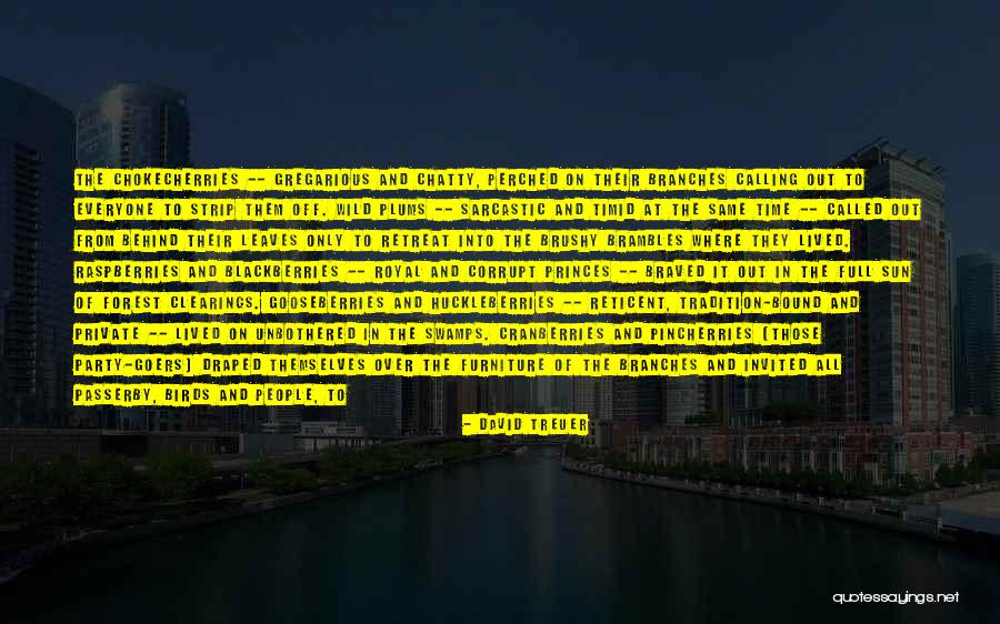 Suggestive Star Wars Quotes By David Treuer Suggestive Star Wars Quotes By David Treuer