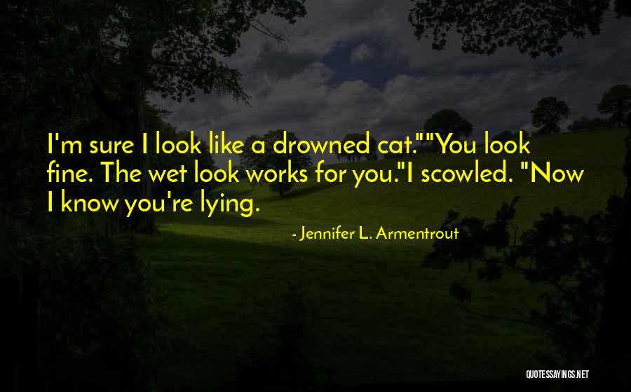 Sugimori Inazuma Quotes By Jennifer L. Armentrout Sugimori Inazuma Quotes By Jennifer L. Armentrout